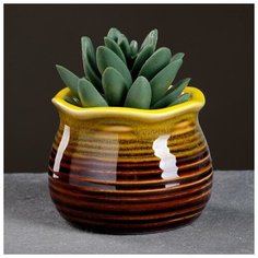 Кашпо керамическое "Бочонок" микс 6*7см Take It Easy