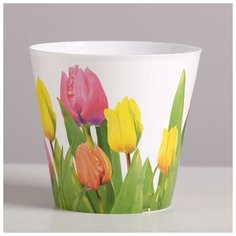 Кашпо «Тюльпаны», 0,8 л, 11 х 12 см Дарите счастье