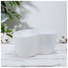 Кашпо для кактуса «Кактусник», 900 мл, на 2 растения, цвет белый Алеана