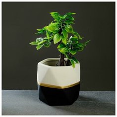 Кашпо керамическое "Многогранник", двухцветное, микс 11*10см Take It Easy