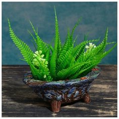 Кашпо- бонсайница овальное 14,5*12*6см Take It Easy