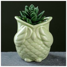 Кашпо фигурное "Сова" зеленое, микс 3 вида 9,5*9см Take It Easy