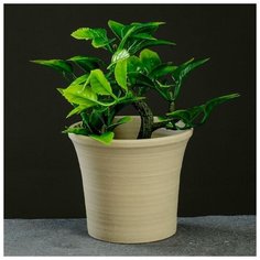 Кашпо фигурное "Горшочек", бежевое 8,5*8,5*7,5см Take It Easy