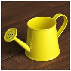 Кашпо "Лейка" цвета микс 13*6*6 см. Take It Easy