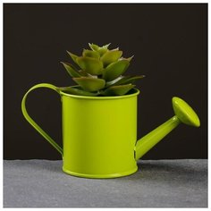 Кашпо "Лейка" 13*6*7см, цвет микс Take It Easy