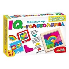 Настольная игра «IQ- головоломка Дрофа Медиа