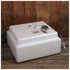 Инкубатор бытовой, на 63 яйца, автоматический переворот, цифровой термометр, 220 В/12 B Баган