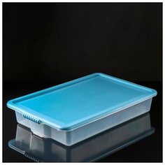 Контейнер для хранения с крышкой Porter, 18 л, 66×42×11,5 см, цвет васильковый Berossi