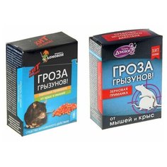 Зерновая приманка от грызунов "Домовой Прошка", Гроза грызунов, контейнер, 100 г