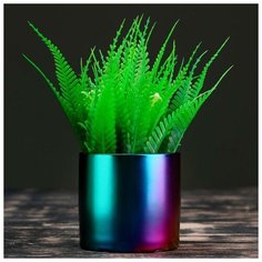 Кашпо керамическое "Градиент" 8*8см Take It Easy