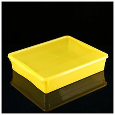 Ящик для хранения с крышкой «Колор. Стайл», 9 л, 40×34×8,5 см, цвет микс Econova