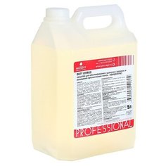 Средство для обезжиривания и удаления стойких запахов Duty Citrus. Концентрат, 5л Prosept