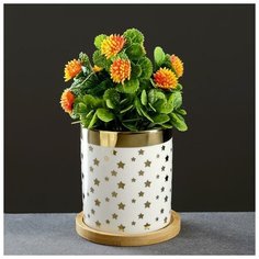 Кашпо "Золотые звезды" на деревянной подставке, 10,5*8*8см Take It Easy