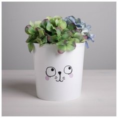 Кашпо «Мордочка», 1,6 л, 14 х 14 см Дарите счастье