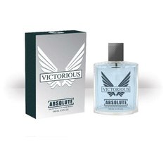Туалетная вода мужская Absolute Victorious, 100 мл Today Parfum