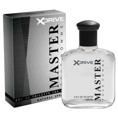 Туалетная вода мужская X- Drive Master, 100 мл Today Parfum