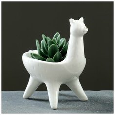 Кашпо керамическое "Лама" малая 7*11см Take It Easy