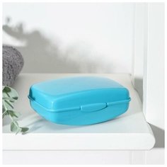 Мыльница дорожная, 10×6,8×4,4 см, цвет микс Idea (М Пластика)