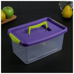 Контейнер для хранения с крышкой, 4 л, 28,5×19×14 см, цвет фиолетовый Idea (М Пластика)