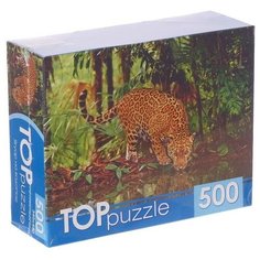 Пазлы «Ягуар на водопое», 500 элементов Рыжий кот