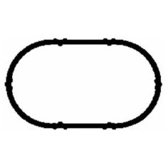 Прокладка впускного коллектора Ajusa 13141100