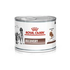 Royal Canin вет. паучи RC Паштет для животных при анорексии (Recovery Feline/Canine) 40550019A0, 0,195 кг (34 шт)