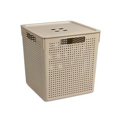 Коробка для хранения квадратная "Лофт" с крышкой 23л 294х294х301 (латте) (9) Violet