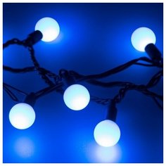 Светодиодная гирлянда ARD- BALL- CLASSIC- D23-10000- BLACK-80LED BLUE (230V, 3.5W) (Ardecoled, IP65)