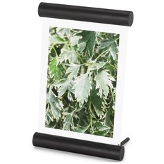 Umbra Фоторамка scroll, 14х18 см, черная