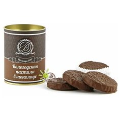 Пастила Вологодская мануфактура без сахара в молочном шоколаде 100гр.