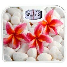 Весы механические Maxtronic MAX-1640