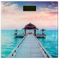 Весы электронные Maxtronic MAX-284