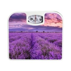 Весы Maxtronic MAX-1643 .