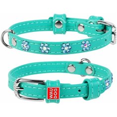 Ошейник WAUDOG Glamour с клей.стразами Цветочек (ширина 12мм, длина 21-29см) ментоловый Новинка!