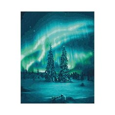 Картина по номерам Schipper «Северное сияние» (картон, 50х40 см)