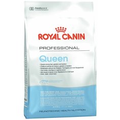 Сухой корм ROYAL CANIN QUEEN 34 для взрослых кошек при беременности (4 кг)