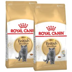 Сухой корм ROYAL CANIN BRITISH SHORTHAIR ADULT для взрослых британских короткошерстных кошек (4 + 4 кг)