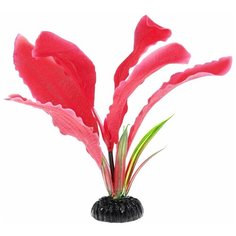 Растение для аквариума Barbus "Апоногетон Мадагаскарский", шелковое, высота 20 см