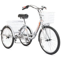 Трехколесный велосипед для взрослых складной Чемпион 24" Серебристый (требует финальной сборки) РВЗ