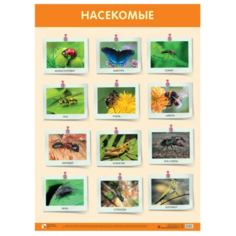 Плакат Мозаика-Синтез Насекомые
