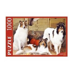 Пазл "Собаки колли", 1000 элементов Рыжий кот