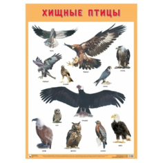 Плакат Мозаика-Синтез Хищные птицы