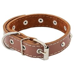 Ошейник для собак "Homepet", двойной простроченный, с украшениями (натуральная кожа), цвет: коричневый, 35 мм x 59-61 см