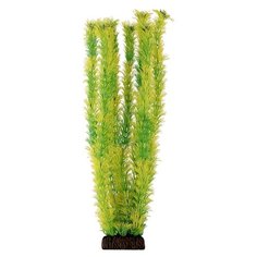Laguna Растение для аквариума "Амбулия" (желто- зеленое), 46 см