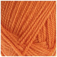 Пряжа Пехорка "Школьная", 150 метров, 5 мотков по 50 грамм, цвет: 284 оранжевый