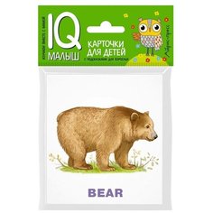 Набор карточек Айрис-Пресс Умный малыш. ENGLISH. Зоопарк 9x8 см 14 шт.