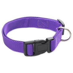 Ошейник синтетический "Дарэлл", плотный (цвет: фиолетовый), 20 мм x 25-40 см