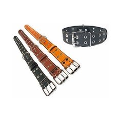 Ошейник Дарэлл "Стандарт", кожаный, 1 слой, безразмерный, 45 мм х 70 см