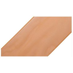 Лента капроновая Ideal, цвет: оранжевый, 75 мм x 22,85 мм