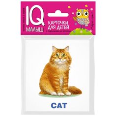 Домашние питомцы. Комплект карточек. English АЙРИС пресс